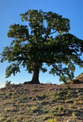 Alojamiento Casa Rural en San Agustín - Teruel